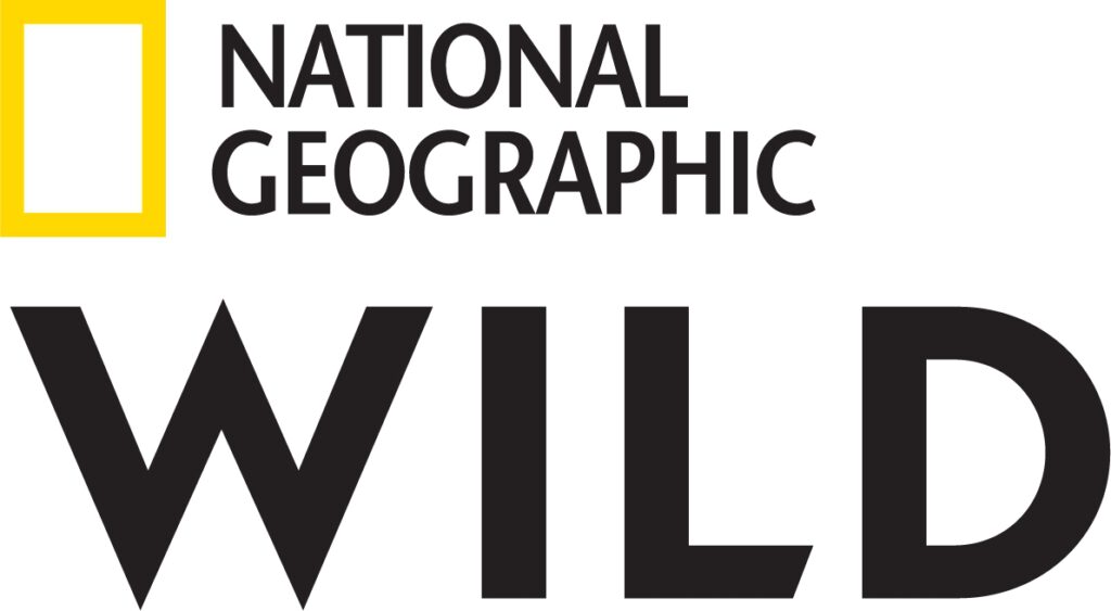 NGWILD Logo HD Austria erweitert sein Senderangebot mit National Geographic