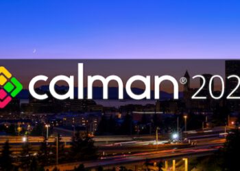 (c) Portrait Display