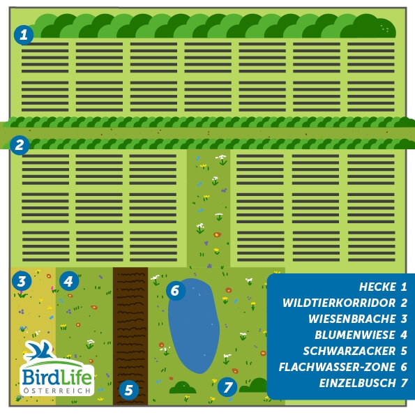 BirdLife Österreich Vorschlag für Freiflächenanlagen