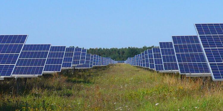 BirdLife Österreich veröffentlicht Handlungsleitfaden