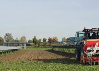 IWS fordert mehr Tempo bei Agri-PV