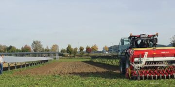 IWS fordert mehr Tempo bei Agri-PV