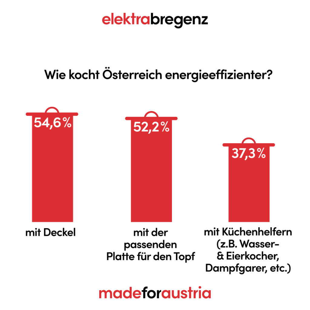 Umfrage: Wie kocht Österreich energieeffizienter?