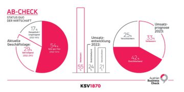 Geschäftsentwicklung KSV1870 Business Check