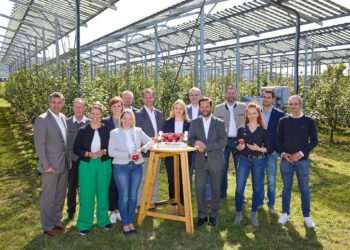 Erste Agri-PV-Apfelernte in Pöchlarn bringt erfreuliche Ergebnisse