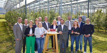 Erste Agri-PV-Apfelernte in Pöchlarn bringt erfreuliche Ergebnisse