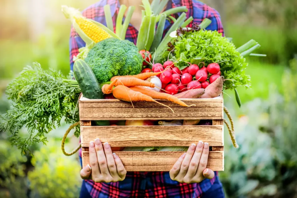 elektrabregenz und Beko schicken Gemüse und Obst auf Sommerfrische