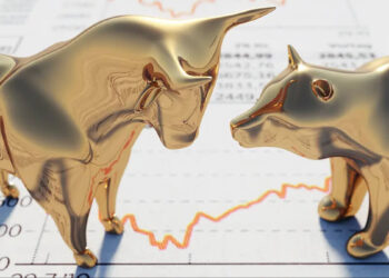 Die Aktiengesellschaft (AG)