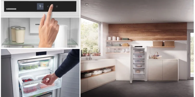 Liebherr Gefrierschrank FNa 6625