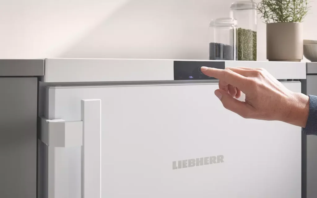 Liebherr Gefrierschrank FNa 6625