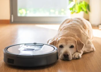 Sichere Saugroboter stoppen Hacker