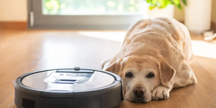 Sichere Saugroboter stoppen Hacker