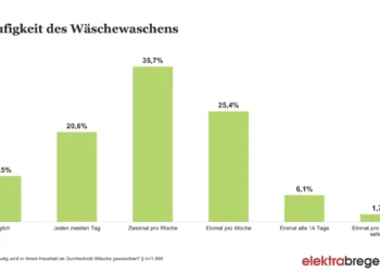 elektrabregenz-Studie: So wäscht Österreich!