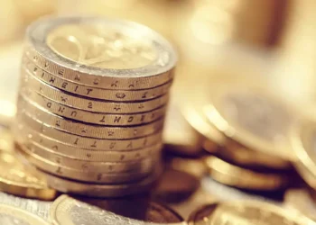 Flexible Kapitalgesellschaft