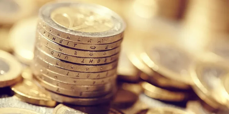 Flexible Kapitalgesellschaft