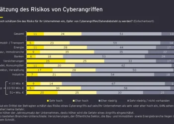 EY-Studie: „Cyberangriffe und Datendiebstahl in Österreich“