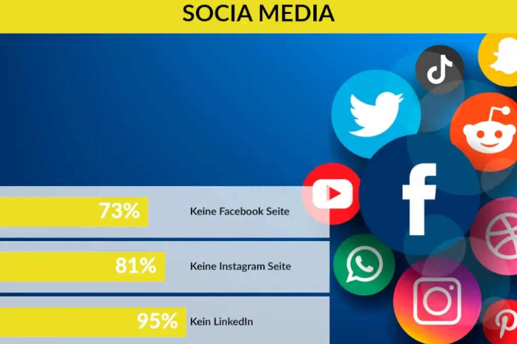 Edelsweiss Infografik Social Media