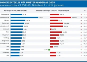 E-Control Stromnetzentgelte 2025