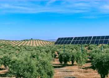 Photovoltaik Olivenhain