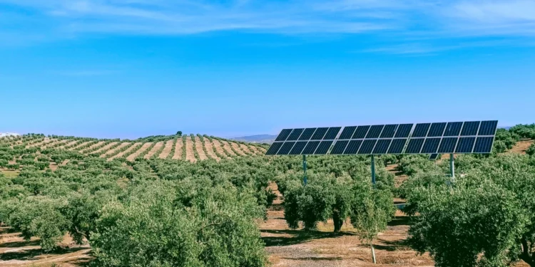 Photovoltaik Olivenhain