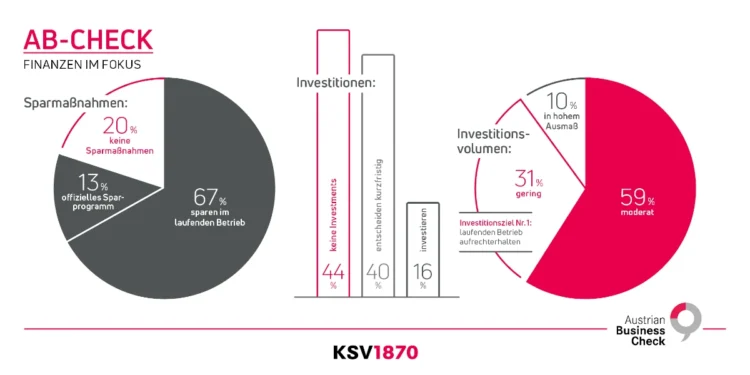 Austrian Business Check 2025: Für viele Betriebe heißt es sparen