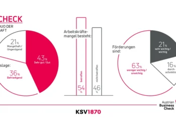 Austrian Business Check 2025: Heimische Geschäftslage in der Krise