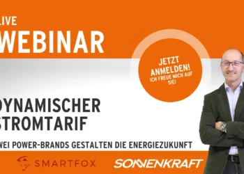Webinar Dynamischer Stromtarif