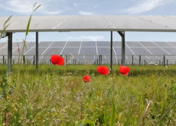 PV-Haftungsfallen bei der Bau & Planung