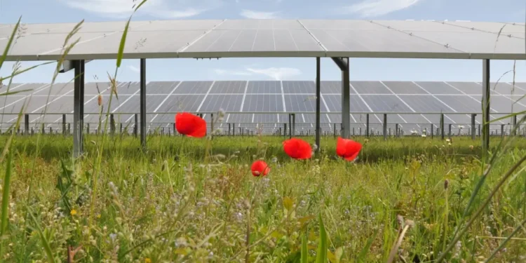 PV-Haftungsfallen bei der Bau & Planung