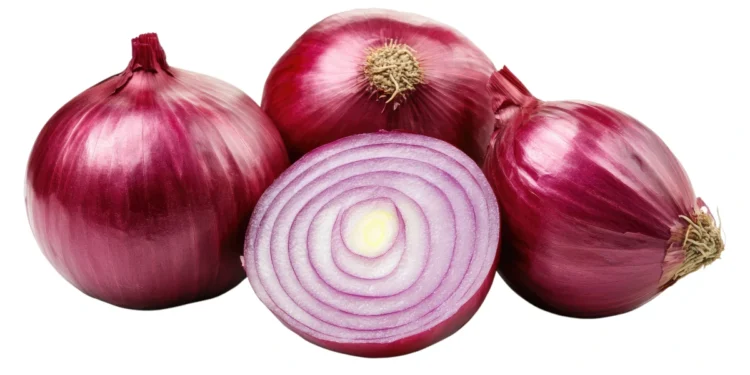 Zwiebeln schützen Solarzellen vor UV-Strahlen