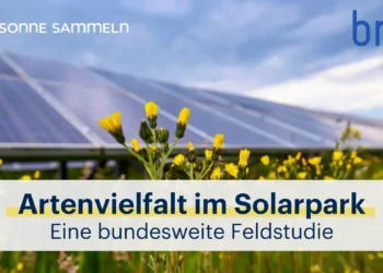 Solarparks unterstützen die Artenvielfalt in unserer Kulturlandschaft
