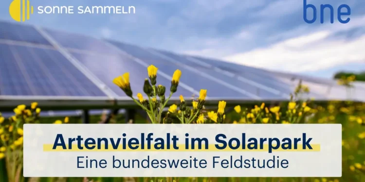 Solarparks unterstützen die Artenvielfalt in unserer Kulturlandschaft