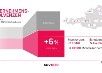 Unternehmensinsolvenzen Österreich 1. Halbjahr 2025