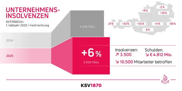 Unternehmensinsolvenzen Österreich 1. Halbjahr 2025