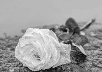 Danksagung Jörn Gellermann