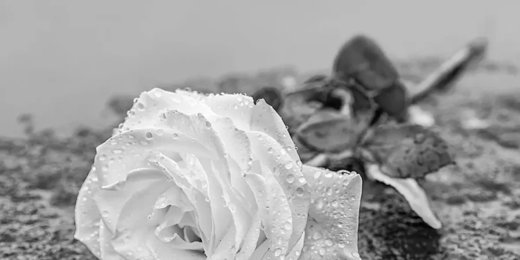 Danksagung Jörn Gellermann