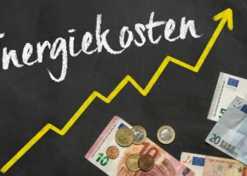 Erneuerbare Energie Österreich: 10 Punkte zur Netzkostensenkung