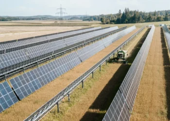 Die Getreide- und Sonnenstromernte in Oberösterreich