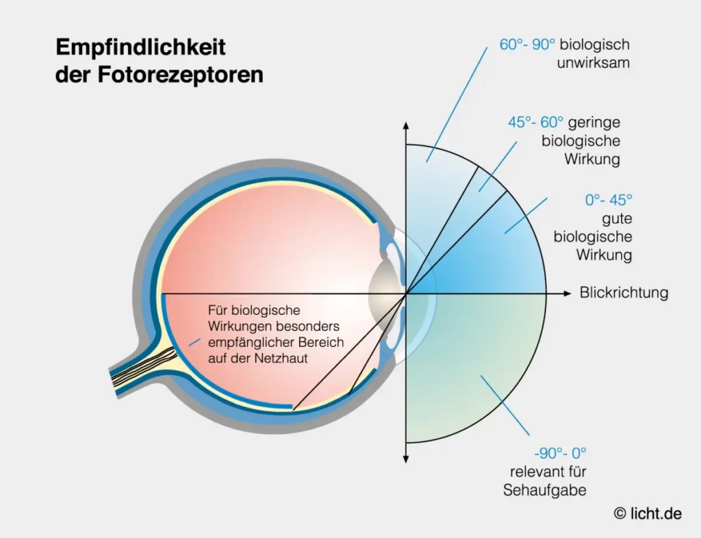 Horizontale & vertikale Beleuchtung