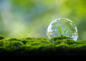 Nachhaltigkeit ist ein zentraler Bestandteil der Unternehmensphilosophie von beko © Shutterstock