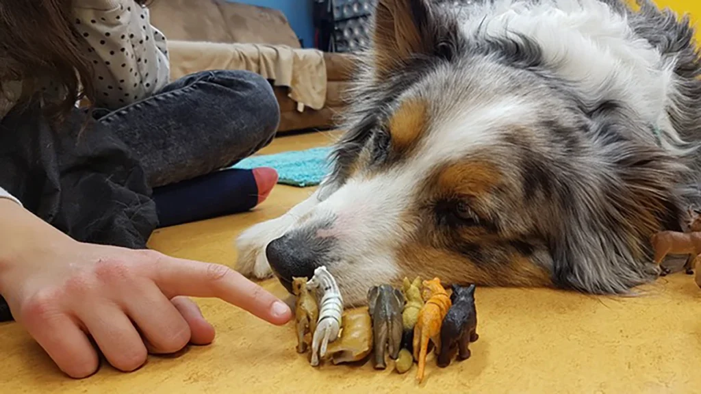 Tiergestützte Therapien sind besonders wichtig für viele der Kinder-1