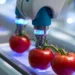 Forscher bringen Bio-Leuchten mit Tomatensaft zum Strahlen