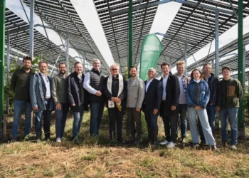 Die erste netzgekoppelte Agri-PV-Anlage über Weinreben in Österreich