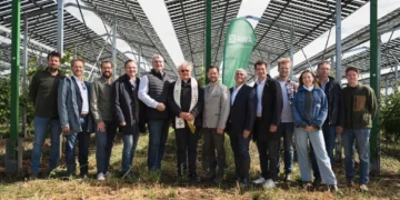 Die erste netzgekoppelte Agri-PV-Anlage über Weinreben in Österreich