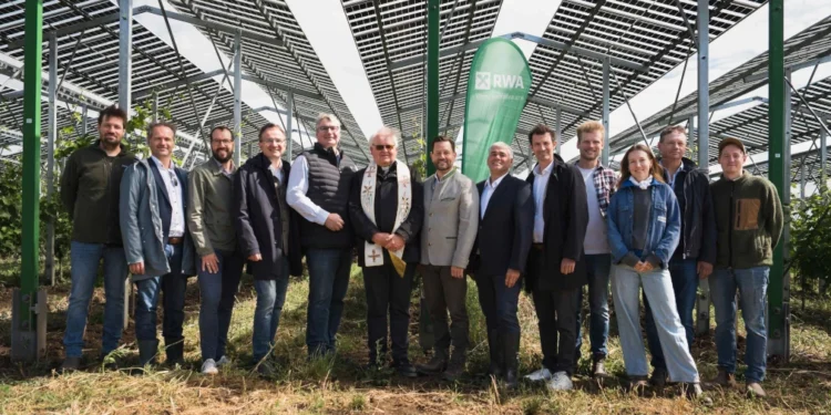 Die erste netzgekoppelte Agri-PV-Anlage über Weinreben in Österreich