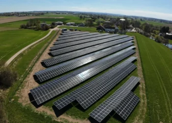 Agri-PV Burgkirchen liefert grüne Energie und Schatten für Schafe