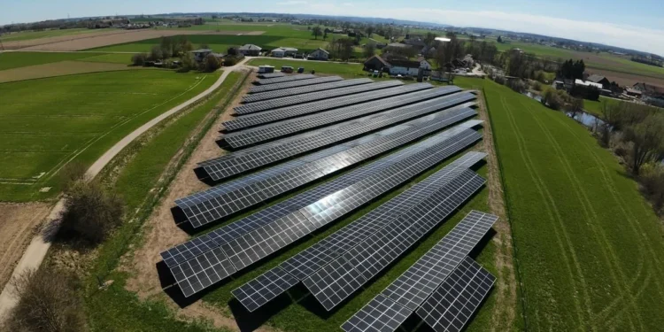 Agri-PV Burgkirchen liefert grüne Energie und Schatten für Schafe