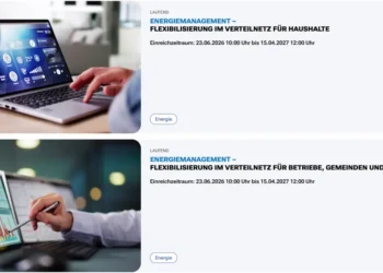 Die Förderung „Energiemanagement – Flexibilisierung im Verteilnetz“ gibts für Privatpersonen, Unternehmen und Gemeinden.