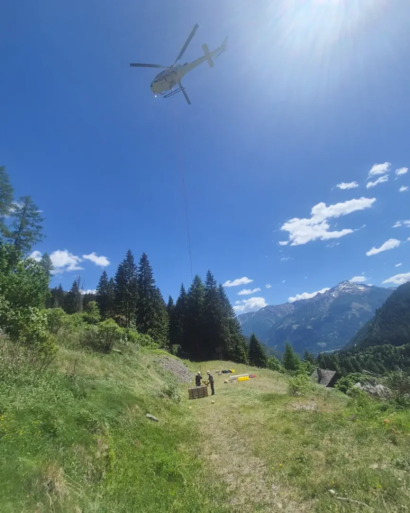 Impressionen vom Klimaschutzwald Mallnitz. Aufforstung Elektron Austria & Signify
