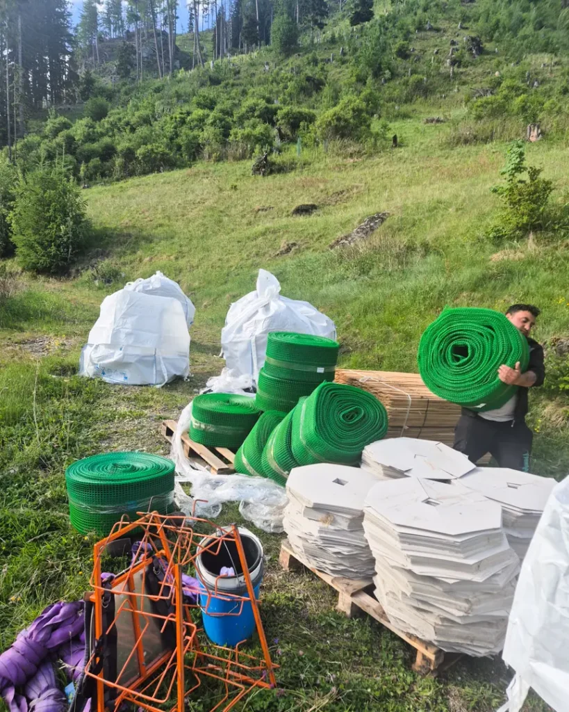 Arbeiten Impressionen vom Klimaschutzwald Mallnitz. Aufforstung Elektron Austria & Signify